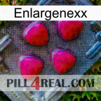 Enlargenexx 13
